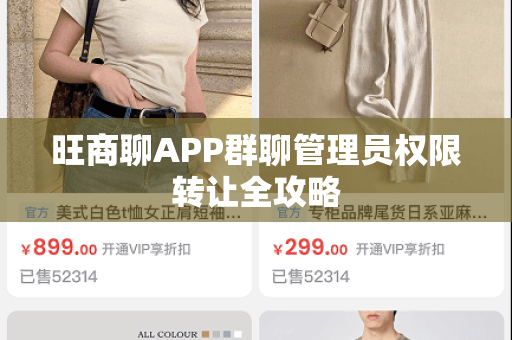 旺商聊APP群聊管理员权限转让全攻略-第1张图片-旺商聊手机版